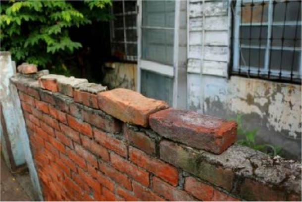 水花園有機農夫市集｜十二月號